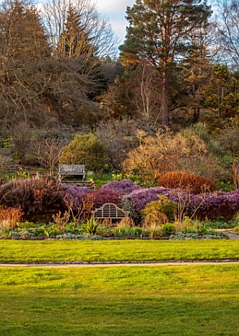 GRAVETYE_MANOR_SUSSEX_STEPS_WOODEN_BENCH_STONE_BENCH_PINK_FLOWERS_OF_HEATHERS_SPRING_MARCH_EVENING_L