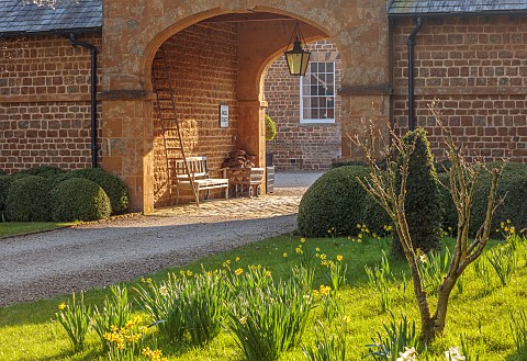PRIORS_MARSTON_WARWICKSHIRE_THE_MANOR_HOUSE_DAFFODILS_NARCISSUS_ON_LAWN_BESIDE_ENTRANCE_COURTYARD_MA