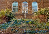 PRIORS MARSTON, WARWICKSHIRE, THE MANOR HOUSE: PHORMIUMS AND BLUE FLOWERS OF SCILLA SIBERICA IN BORDER, MARCH