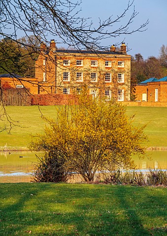 PRIORS_MARSTON_WARWICKSHIRE_THE_MANOR_HOUSE_FORSYTHIA_BESIDE_THE_LAKE_WITH_MANOR_HOUSE_IN_THE_BACKGR