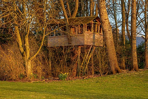 PRIORS_MARSTON_WARWICKSHIRE_THE_MANOR_HOUSE_WOODEN_TREE_HOUSE_MARCH