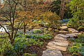 MORTON HALL GARDENS, WORCESTERSHIRE: POOL, WATER, UPPER POND, STROLL GARDEN, JAPANESE, MARCH, SPRING, SCILLA SIBERICA, MAPLES, ACERS, PATHS, STONE SLABS