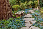 MORTON HALL GARDENS, WORCESTERSHIRE: UPPER POND, STROLL GARDEN, MARCH, SPRING, SCILLA SIBERICA, PATHS, PAVING, STONE, WOODEN BENCH, SEAT, WOODLAND, SPRING, MARCH