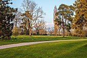 MORTON HALL, WORCESTERSHIRE: THE MEADOW, PARK, PARKLAND, SPRING, APRIL, DRIVE, WOODLAND, DAFFODILS