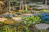 MORTON HALL GARDENS, WORCESTERSHIRE: POOL, WATER, MARCH, SCILLA SIBERICA, HELLEBORES, PATHS, WATER, POOL, POND, BIRCHES REFLECTED, RFELECTIONS