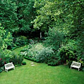 WHITE BENCHES EITHER SIDE OF LAWN  BOX EDGED PATH & SILVER BORDER LEAD TO STATUE IN THE SHADE. DES: OLIVIA CLARKE