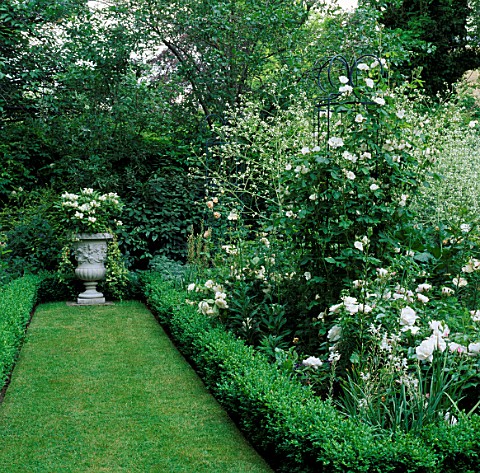 GRASS_PATH_LEADING_TO_A_PLANTED_URN_WITH_BOXEDGED_BORDER_OF_ROSES_AND_CRAMBE_CORDIFOLIA__DESIGNER_OL