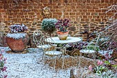 THE CONIFERS, NORTHAMPTONSHIRE: MARCH, SNOW GARDEN, COTSWOLDS, TERRACOTTA CONTAINERS WITH HELLEBORES