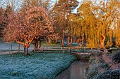 HEVER CASTLE, KENT: MARCH, WINTER, SPRING, FROST, MIST, WILLOW, BRIDGE, WATER, CANAL, DAFFODILS, CHERRY TREE, PRUNUS