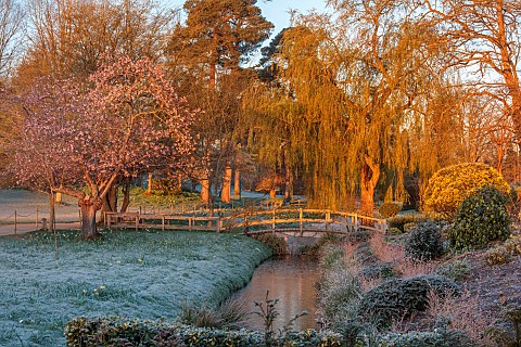 HEVER_CASTLE_KENT_MARCH_WINTER_SPRING_FROST_MIST_WILLOW_BRIDGE_WATER_CANAL_DAFFODILS_CHERRY_TREE_PRU