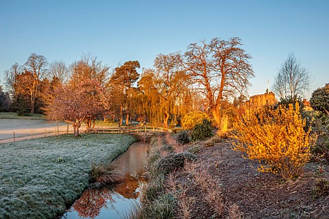 HEVER_CASTLE_KENT_MARCH_WINTER_SPRING_FROST_MIST_WILLOW_BRIDGE_WATER_CANAL_DAFFODILS_CHERRY_TREE_PRU