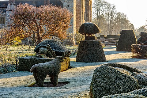 HEVER_CASTLE_KENT_MARCH_WINTER_SPRING_THE_TOPIARY_WALK_CASTLE_LAWN_CLIPPED_REINDEER_FROST