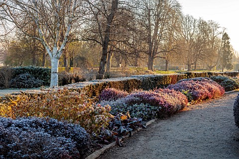 HEVER_CASTLE_KENT_MARCH_WINTER_SPRING_FROST_PATH_HEATHER_SKIMMIA