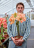 WEST DEAN GARDENS, SUSSEX: AMARYLLIS COLLECTION, GREENHOUSE, GLASSHOUSE, BULBS, TOM BROWN HOLDING HIPPEASTRUM EXOTIC NYMPH