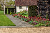 ULTING WICK, ESSEX: FORMAL SPRING GARDEN, PATH, LAWN, BORDER WITH TULIPS, APRIL