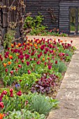 ULTING WICK, ESSEX: FORMAL SPRING GARDEN, PATH, BORDER WITH TULIPS