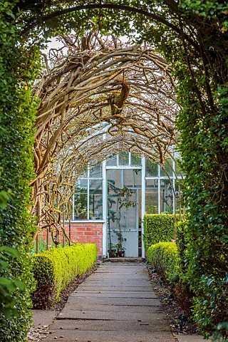 PINE_HOUSE_LEICESTERSHIRE_APRIL_PATH_SPRING_GREENHOUSE_HEDGES_HEDGING