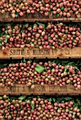 SMITH & MUNSON, LINCOLNSHIRE: BOXES OF FRESHLY PICKED DOUBLE, GREEN, PINK, FLOWERS OF TULIP COLUMBUS, SPRING, MAY