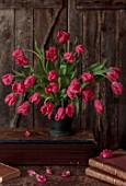 SMITH & MUNSON, LINCOLNSHIRE: DUTCH MASTER, PINK FLOWERS OF PARROT TULIP MARVEL PARROT