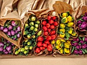 SMITH & MUNSON, LINCOLNSHIRE: TULIPS PACKED READY TO GO TO CUSTOMERS