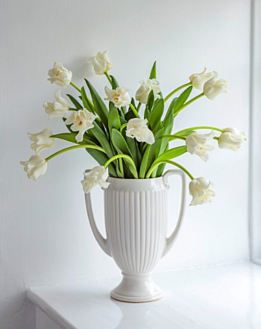SMITH__MUNSON_LINCOLNSHIRE_WHITE_VASE_WITH_WHITE_FLOWERS_OF_TULIP_WHITE_LIBERSTAR_BULBS