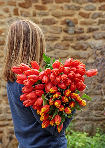 SMITH__MUNSON_LINCOLNSHIRE_WOMAN_HOLDING_TULIPS