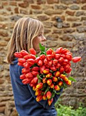 SMITH & MUNSON, LINCOLNSHIRE: WOMAN, HOLDING TULIPS