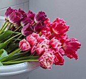SMITH & MUNSON, LINCOLNSHIRE: TULIPS IN SINK, TULIP PURPLE CRYSTAL, COLUMBUS AND MARVEL PARROT
