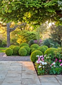 MORTON HALL, WORCESTERSHIRE: SOUTH GARDEN, MAY, BORDER WITH TULIPS, CLIPPED TOPIARY BOX BALLS, HORSE CHESTNUT TREE, SUNRISE