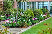 MORTON HALL, WORCESTERSHIRE: BORDER IN SOUTH GARDEN, LAWN, SPRING, TULIPS SPRING GREEN, BLUE DIAMOND