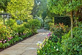 MORTON HALL, WORCESTERSHIRE: BORDER IN SOUTH GARDEN, SPRING, TULIPS, PATH