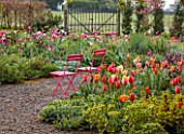 PATTHANA GARDEN, IRELAND: MAY, THE NEW TORC GARDEN MADE IN 2020, PATH, PINK CHAIRS, TULIPS, GATE