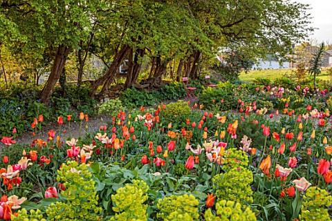 PATTHANA_GARDEN_IRELAND_MAY_THE_NEW_TORC_GARDEN_MADE_IN_2020_PATH_PINK_CHAIRS_TULIPS