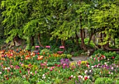 PATTHANA GARDEN, IRELAND: MAY, THE NEW TORC GARDEN MADE IN 2020, PINK METAL CHAIRS, TULIPS, SPRING, MAY