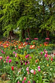 PATTHANA GARDEN, IRELAND: MAY, THE NEW TORC GARDEN MADE IN 2020, PINK METAL CHAIRS, TULIPS, SPRING, MAY