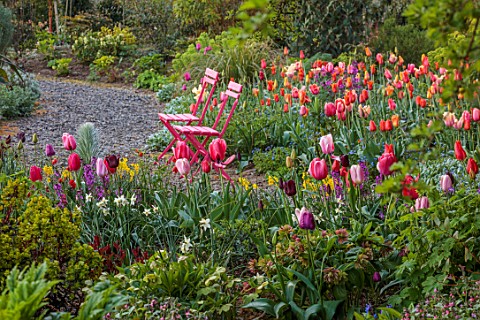 PATTHANA_GARDEN_IRELAND_MAY_THE_NEW_TORC_GARDEN_MADE_IN_2020_PINK_CHAIRS_TULIPS_SPRING_MAY_PATHS_GRA