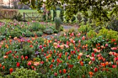 PATTHANA GARDEN, IRELAND: MAY, THE NEW TORC GARDEN MADE IN 2020, TULIPS, SPRING, MAY, GATE, FIELD