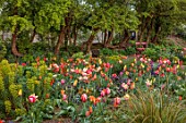 PATTHANA GARDEN, IRELAND: MAY, THE NEW TORC GARDEN MADE IN 2020, TULIPS, SPRING, MAY, PINK CHAIRS, EUPHORBIA