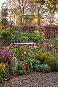 PATTHANA GARDEN, IRELAND: MAY, THE NEW TORC GARDEN MADE IN 2020, TULIPS, SPRING, MAY, DAWN LIGHT, WOOD AND METAL SEAT, HEDGE