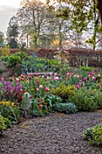 PATTHANA GARDEN, IRELAND: MAY, THE NEW TORC GARDEN MADE IN 2020, TULIPS, SPRING, MAY, DAWN LIGHT, WOOD AND METAL SEAT, HEDGE