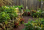 PATTHANA GARDEN, IRELAND: RAISED BED, WOODEN BENCH, SEAT, WHITE, YELLOW FLOWERS OF TULIP FOSTERIANA PURISSIMA, MAY, BULBS, CANDLES, HEDGES, HEDGING