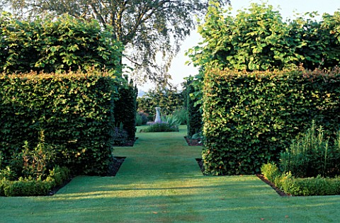 VIEW_THROUGH_BEECH_HEDGES_AND_LIME_ALLEE_TOWARDS_A_SUNDIAL_AT_WOLLERTON_OLD_HALL__SHROPSHIRE