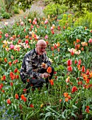 PATTHANA GARDEN, IRELAND: OWNER T J MATHER WITH TULIPS IN THE TORC GARDEN, MAY, SPRING