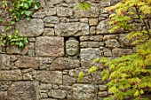 PATTHANA GARDEN, IRELAND: WALL WITH BUDDHA HEAD IN NICHE, ACER, SPRING, MAY