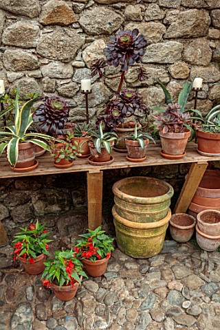 PATTHANA_GARDEN_IRELAND_THE_POTTING_SHED_COBBLED_FLOOR_BENCH_SEAT_STONE_WALLS_TERRACOTTA_CONTAINERS_
