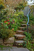 PATTHANA GARDEN, IRELAND: PATHS, TULIPS, MAY, BULBS, STEPS, FENCE, FENCING