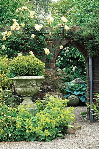 ARCHED_GATE_WITH_ROSA_LADY_HILLINGDON_ON_THE_WALL__STONE_URN_PLANTED_WITH_CLIPPED_BOX_AT_WOLLERTON_O