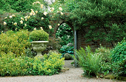 ARCHED_GATE_WITH_ROSA_LADY_HILLINGDON_ON_THE_WALL__STONE_URN_PLANTED_WITH_CLIPPED_BOX_AT_WOLLERTON_O