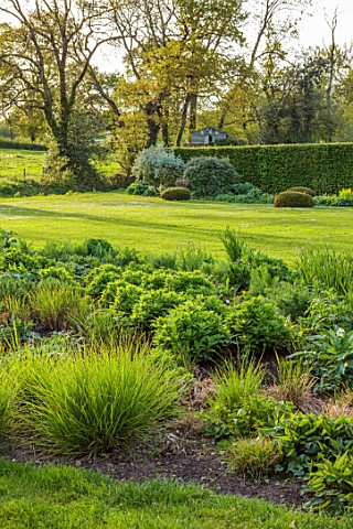 SILVER_STREET_FARM_DEVON_GRASS_NO_MOW_MAY_SPRING_LAWN_BORDERS_HEDGES_HEDGING