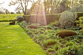 SILVER STREET FARM, DEVON: BORDER, MAY, SPRING, LAWN, CLIPPED YEW DOMES, HEDGES, HEDGING